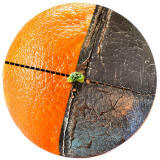 Orange Peel Baseball