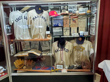 Basebal Militaria Display Case