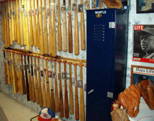 Baeball Bat display